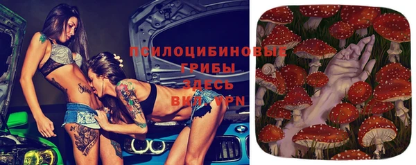спиды Алексин