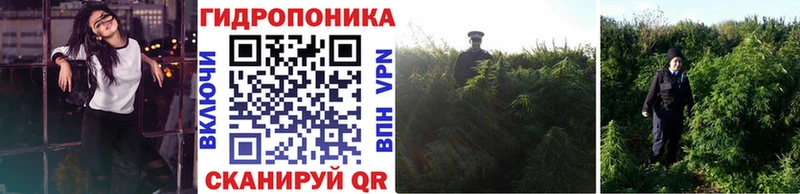 наркотики  Дудинка  мориарти клад  Конопля LSD WEED 